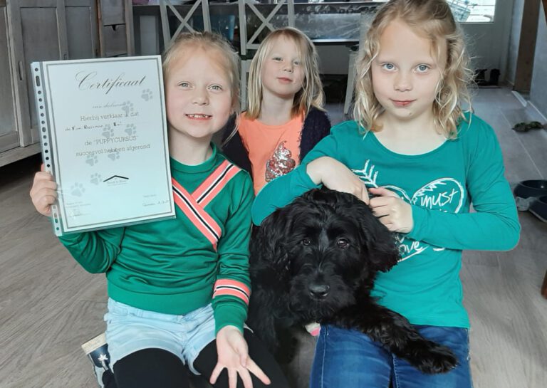 Hond in Huis hondenschool Martin Gaus Almelo Hengelo Wierden Albergen Geesteren Borne Bornerbroek privétraining hond puppy bijtgedrag Hond en kinderen hoe leer ik mijn kinderen met de hond omgaan Chanine Wiertz-Janssen Clickertraining Almelo